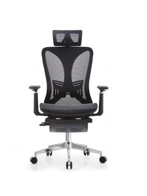 Ghế công thái học SALA06