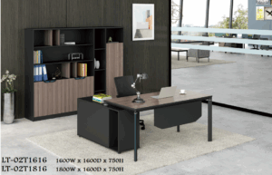 LT 02T1816 1