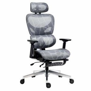 0028934 ghe cong thai hoc ergonomic full lung luoi gak x21 2 550