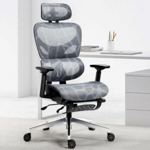0028935 ghe cong thai hoc ergonomic full lung luoi gak x21 2 550