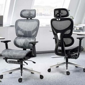 0028936 ghe cong thai hoc ergonomic full lung luoi gak x21 2 550