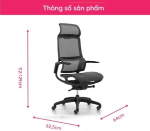 noi that phong van
