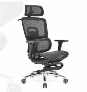 z5908595535082 bbbb0366033e554a802e455d97c55673