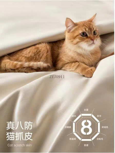 z7055707491720 f9dce64bc0b3ee61c9a8395147f505cf
