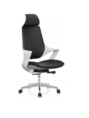 Ghế chống gù lưng văn phòng – Giải pháp hoàn hảo cho sức khỏe nhân viên hiện đại 6 Ghế lãnh đạo cao cấp nhậu khẩu lưng nhựa PV818A