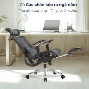 Ghế Xoay Lưới Công Thái Học PV-RB2508 7 1786679821158 6763824278138070356 g2767207073399465198 46b57a15c263087e9067f4b4ec4cc58f