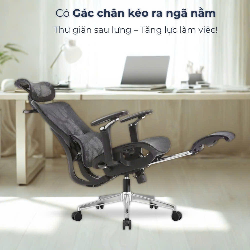 Ghế Xoay Lưới Công Thái Học PV-RB2508 9 1786679821158 6763824278138070356 g2767207073399465198 46b57a15c263087e9067f4b4ec4cc58f